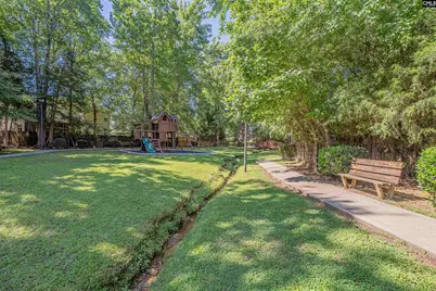 107 Elm Creek Drive, Chapin, SC 29036 - Photo 36