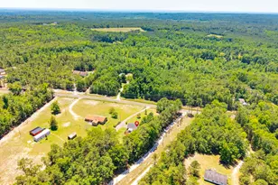 744 Mount Elon Church Rd, Hopkins, SC 29061 - Photo 38