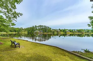 101 Spring Point Dr, Columbia, SC 29229 - Photo 46