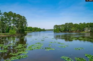 101 Spring Point Dr, Columbia, SC 29229 - Photo 52