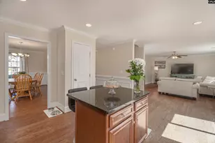 133 Palm St, Chapin, SC 29036 - Photo 12