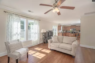 133 Palm St, Chapin, SC 29036 - Photo 16