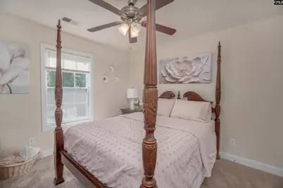 133 Palm St, Chapin, SC 29036 - Photo 20