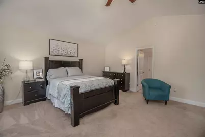 133 Palm St, Chapin, SC 29036 - Photo 28
