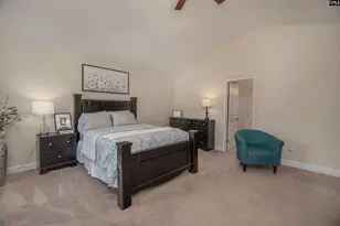 133 Palm St, Chapin, SC 29036 - Photo 28