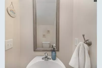 133 Palm St, Chapin, SC 29036 - Photo 8