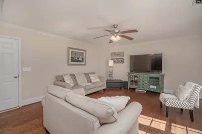 133 Palm St, Chapin, SC 29036 - Photo 14