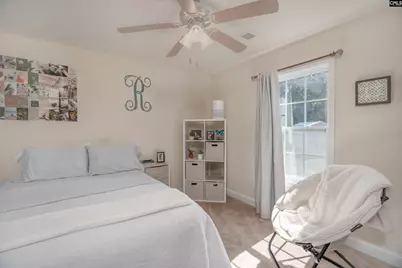 133 Palm St, Chapin, SC 29036 - Photo 18