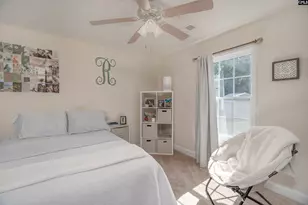 133 Palm St, Chapin, SC 29036 - Photo 18