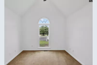 3 Tattlers Court, Irmo, SC 29063 - Photo 28