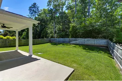454 Malachite Lane, Chapin, SC 29036 - Photo 58