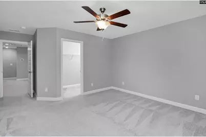 454 Malachite Lane, Chapin, SC 29036 - Photo 46