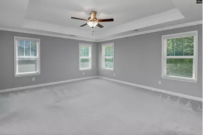 454 Malachite Lane, Chapin, SC 29036 - Photo 6