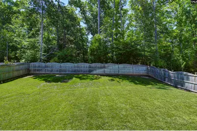 454 Malachite Lane, Chapin, SC 29036 - Photo 56