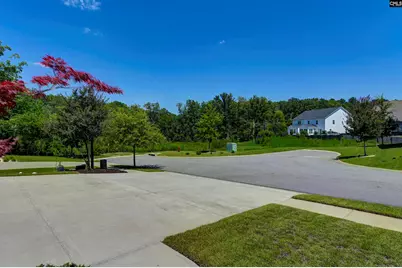 454 Malachite Lane, Chapin, SC 29036 - Photo 12