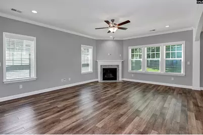 454 Malachite Lane, Chapin, SC 29036 - Photo 16