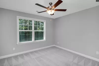 454 Malachite Lane, Chapin, SC 29036 - Photo 48