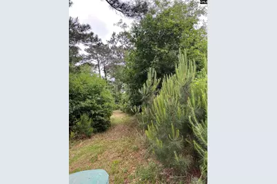 141B Coffin Point Road, Saint Helena Island, SC 29920 - Photo 4