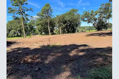 141B Coffin Point Road, Saint Helena Island, SC 29920 - Photo 2