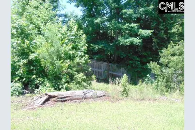 392 Blythe Creek Drive, Blythewood, SC 29016 - Photo 24
