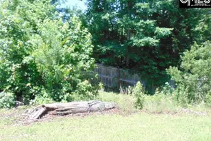 392 Blythe Creek Dr, Blythewood, SC 29016 - Photo 24