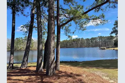 620 Corkscrew Lane, Blythewood, SC 29016 - Photo 38