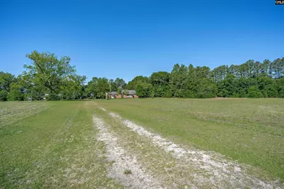 941 Old Charleston Road, Pelion, SC 29123 - Photo 18