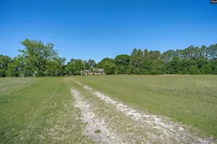 941 Old Charleston Rd, Pelion, SC 29123 - Photo 18