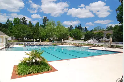 304 Arstook Court, Lexington, SC 29072 - Photo 50