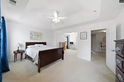 156 Drooping Leaf Drive, Lexington, SC 29072 - Photo 16