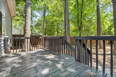 1 Pioneers Point Court, Irmo, SC 29063 - Photo 6
