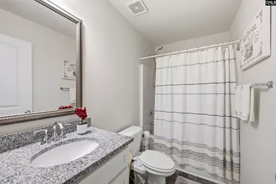 1714 Tabasco Cat Drive, Lexington, SC 29073 - Photo 22