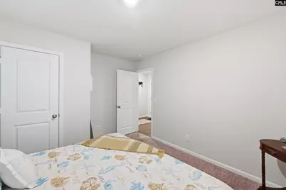 1714 Tabasco Cat Drive, Lexington, SC 29073 - Photo 24