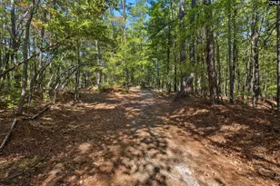 1778 White Rd, Camden, SC 29020 - Photo 58