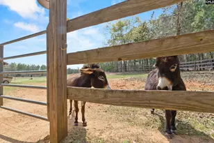 1778 White Rd, Camden, SC 29020 - Photo 52