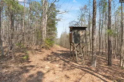 1778 White Road, Camden, SC 29020 - Photo 54