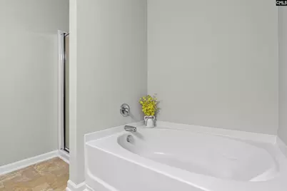 865 Sunseeker Drive, Chapin, SC 29036 - Photo 10