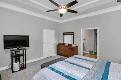 688 Scarlett Baby Drive, Blythewood, SC 29016 - Photo 2