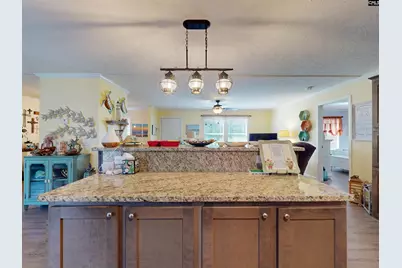 965 Crystal Springs Drive, Pelion, SC 29123 - Photo 14