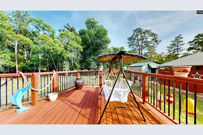 965 Crystal Springs Drive, Pelion, SC 29123 - Photo 42