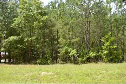 172 Colonels Circle, Ridgeway, SC 29130 - Photo 2