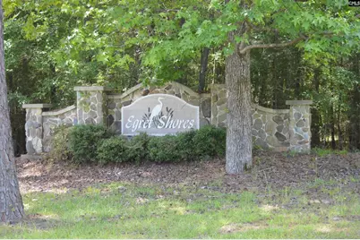 13 Colonels, Ridgeway, SC 29130 - Photo 1