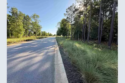 60 Circle H Woods Road, Prosperity, SC 29127 - Photo 48