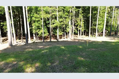 60 Circle H Woods Road, Prosperity, SC 29127 - Photo 6