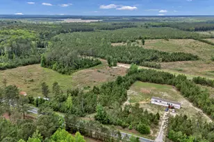 Na Bull Swamp, North, SC 29112 - Photo 12
