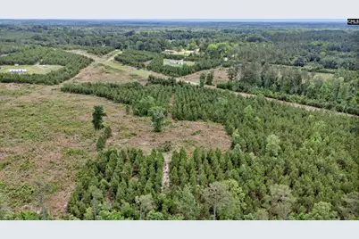 Na Bull Swamp, North, SC 29112 - Photo 18
