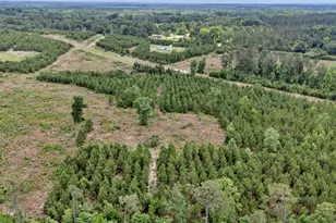 Na Bull Swamp, North, SC 29112 - Photo 18