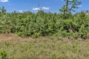 Na Bull Swamp, North, SC 29112 - Photo 8