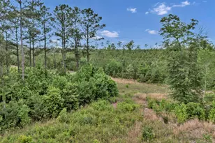 Na Bull Swamp, North, SC 29112 - Photo 10