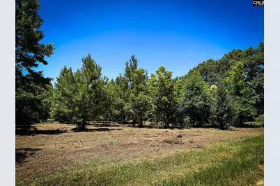 0 S Bethlehem Road Lot 1 #Lot 1, Batesburg, SC 29006 - Photo 2